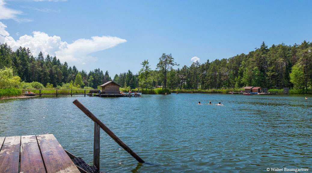 Wheelchair-Tours-Rollstuhl-Völs-Weiher-Sommer