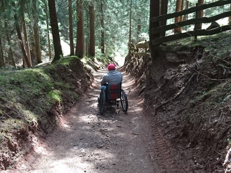Wheelchair-Tours-Rollstuhl-Moarmühle-Wanderweg2-Baumi-1