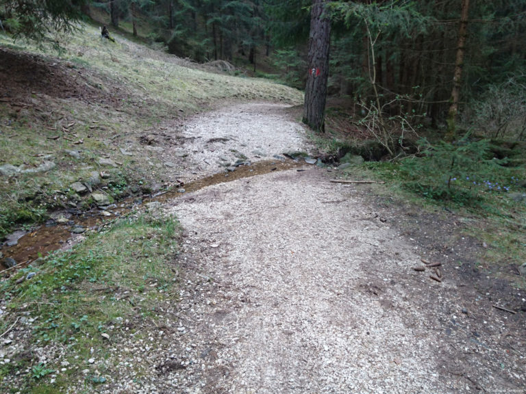 Wheelchair-Tours-Wheelchair-Moarmühle-Hiking-Trail2-first-creek-1