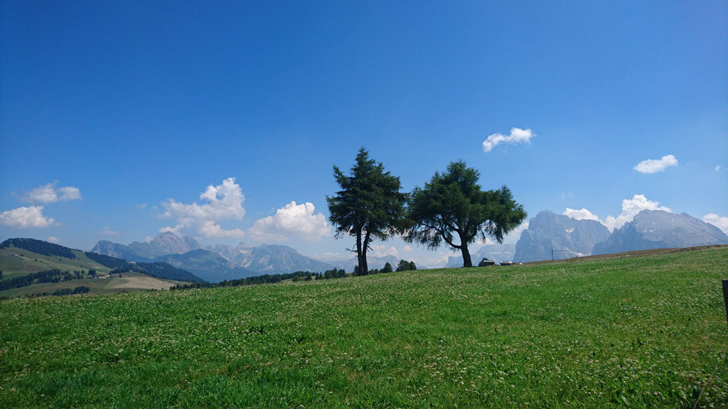Wheelchair-Tours-Rollstuhl-Wandern-Seiser-Alm-Mahlknechthuette-Ausblick-Alm-Panorama-featured-image