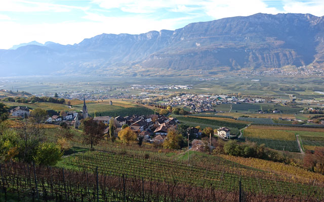 In Südtirols Süden weitet sich das Etschtal, die Landschaft wird sanfter und ist geprägt vom Wein- und Obstbau. Dazwischen wachsen und blühen Palmen, Zypressen und Zitruspflanzen – wie in einem riesigen Garten.