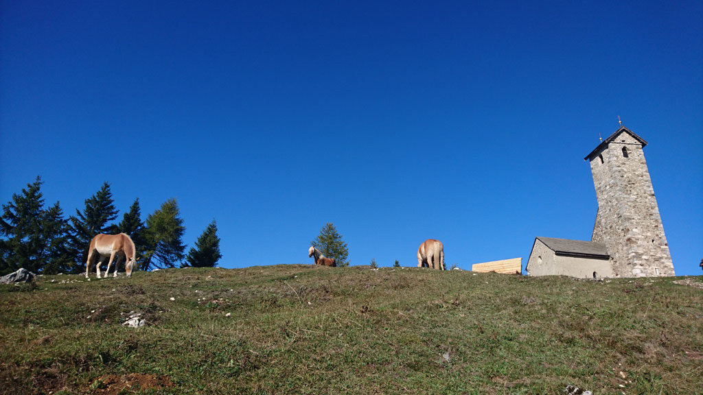 Wheelchair-Tours_Rollstuhl-Touren-Meran-Umgebung-Virgiljoch-Ausblick-auf-Kirche-mit-Haflinger-featured-image