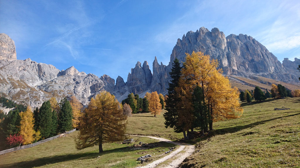 Wheelchair_Tours_Dolomiten_Rosengarten_Haniger_Schwaige_Ausblick_featured_image