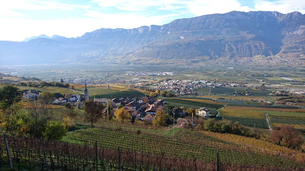 r_Horn_Ausblick_Weinstrasse-featured-image