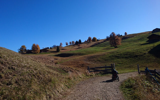 Path in the direction of Spitzbühl