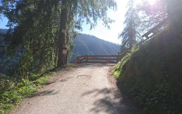 Transizione dalla strada del villaggio/asfalto alla strada forestale incl. cancello
